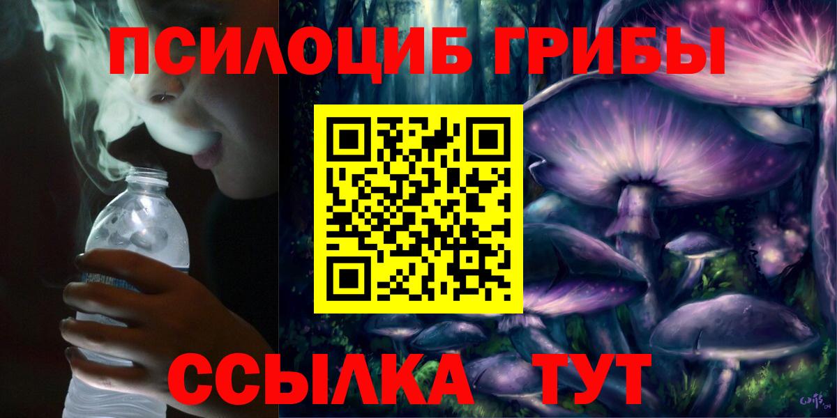 Галлюциногенные грибы Magic Shrooms Балтийск