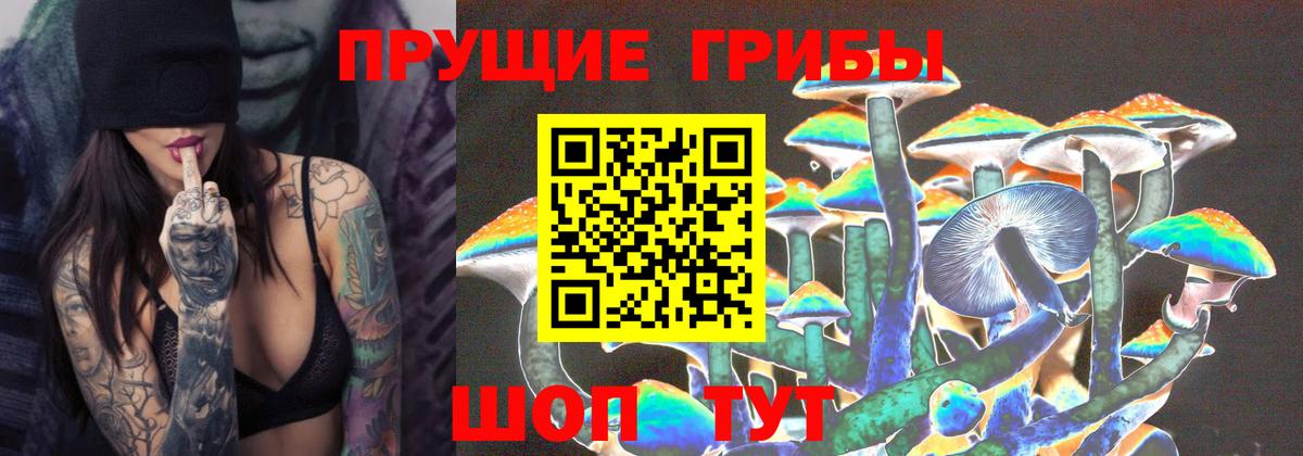 Балтийск  Псилоцибиновые грибы Psilocybine cubensis  Вход с VPN  Псилоцибиновые грибы мухоморы 