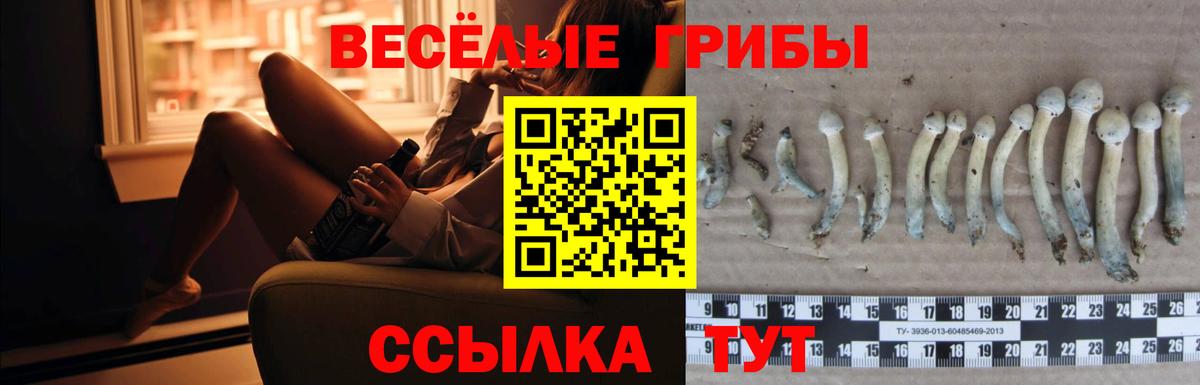 Балтийск  ГАШ  Каннабис  Экстази  ГАШ  Лсд 25  Вход с VPN  Мефедрон кристаллы  КОКАИН 